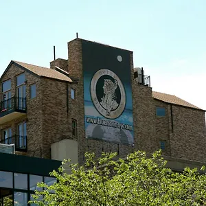 Otel The Historic Blue Moon - Nyc, New York